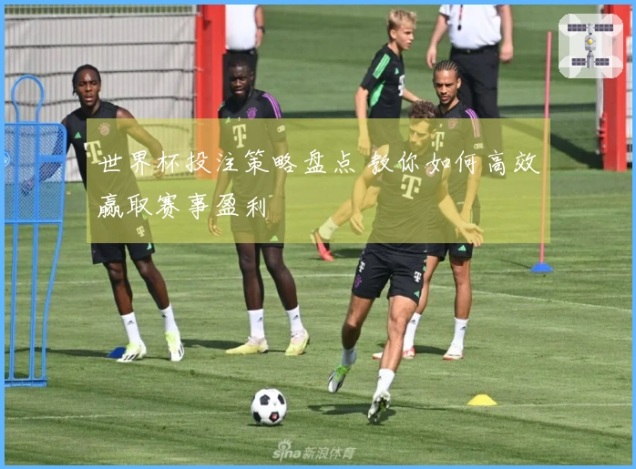 世界杯投注策略盘点 教你如何高效赢取赛事盈利