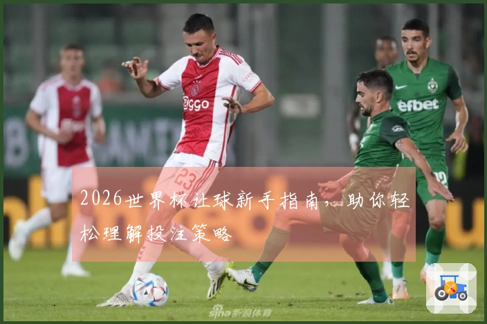 2026世界杯让球新手指南，助你轻松理解投注策略