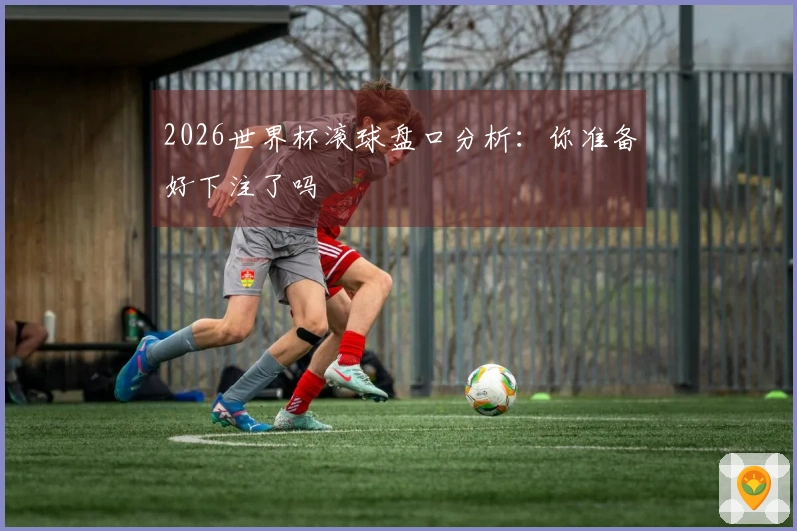 2026世界杯滚球盘口分析：你准备好下注了吗